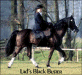 Lad's Black Buster
